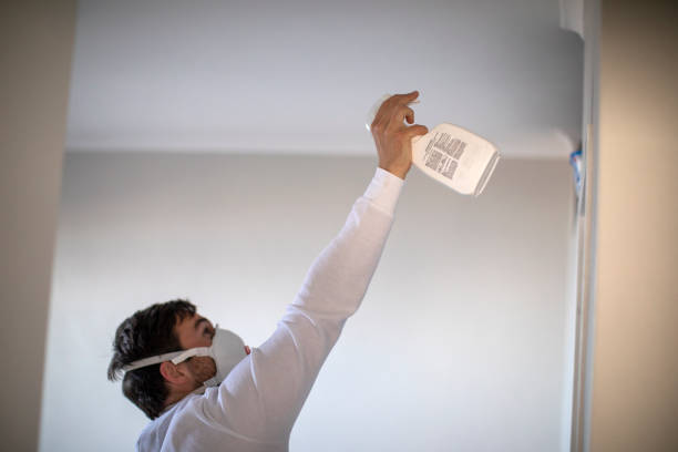 Best Mold Remediation  in Russiaville, IN